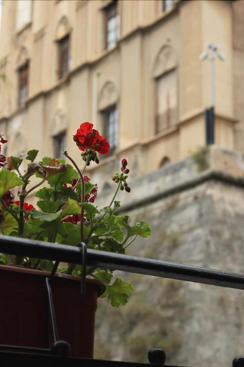 B&B "Al Bastione Normanno ปาแลร์โม ภายนอก รูปภาพ
