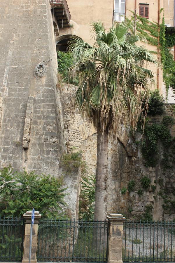 B&B "Al Bastione Normanno ปาแลร์โม ภายนอก รูปภาพ